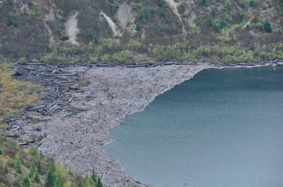 As árvores mortas na erupção de 1980 formam um tapete macabro no Spirit lake, aos pés da montanha, no estado de Washington, oeste dos Estados Unidos